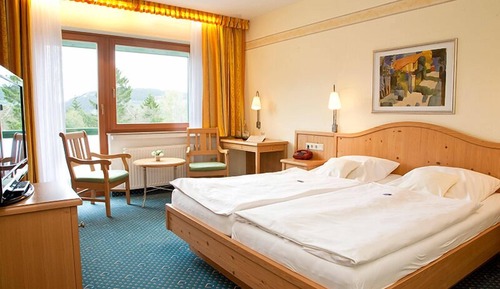 Standard Double Room, Balcony, Valley View