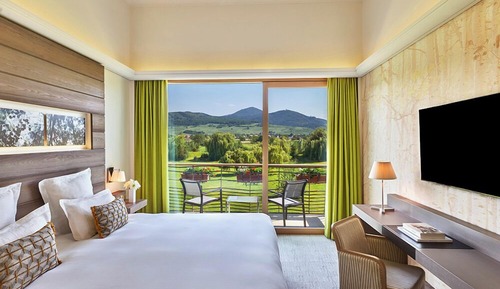 Superior Room, Vineyard View
