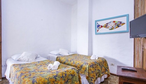 Suite Exclusiva (Pet Friendly)