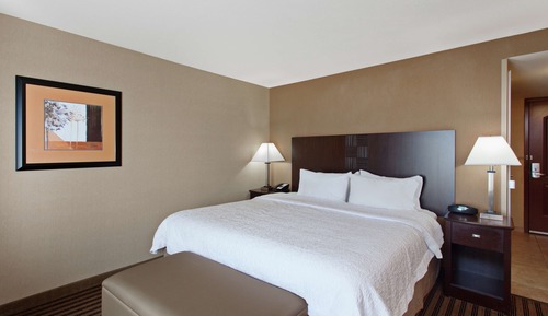 Room, 1 King Bed, Accessible, Non Smoking