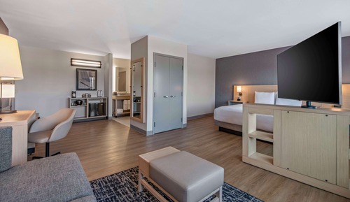 Room, 1 King Bed (View, with Sofa Bed)