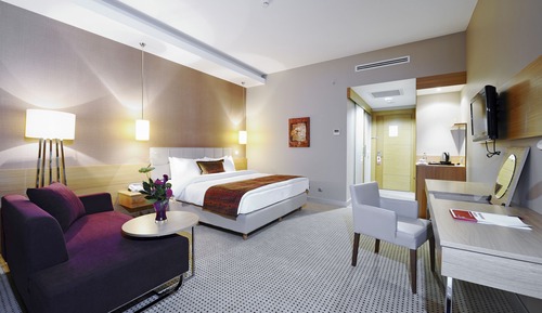 Executive Room, 1 King Bed, Non Smoking
