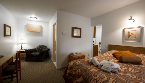 Suite, 1 Double Bed, Kitchenette
