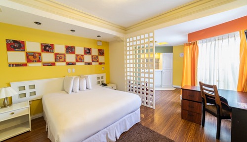 Executive Studio Suite