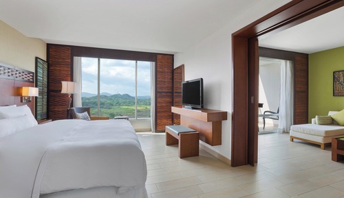 Club Suite, 1 King Bed