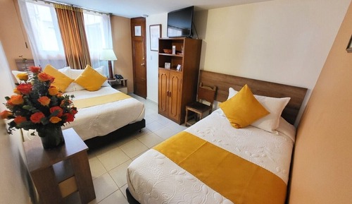 Basic Twin Room