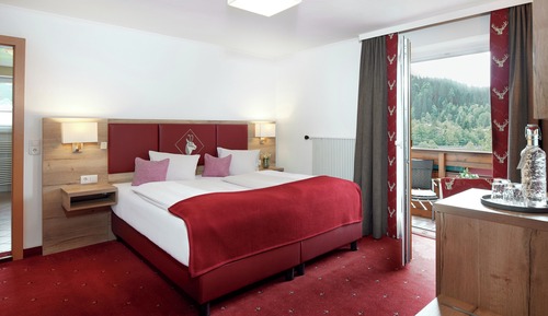 Superior Double Room, Balcony, Mountain View
