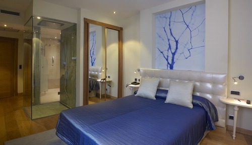 Standard Double Room Single Use