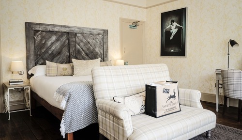 Junior Suite, 1 King Bed