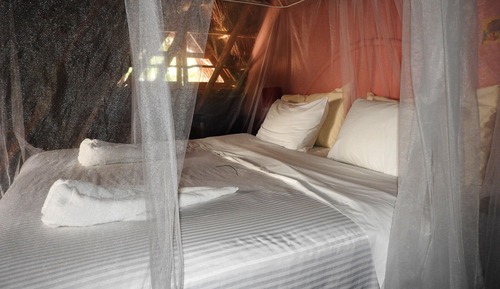Basic Double Room, 1 King Bed
