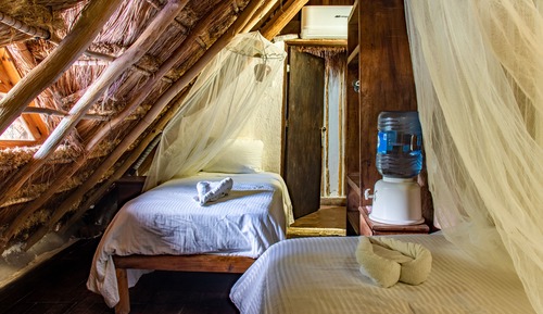 Basic Double Room
