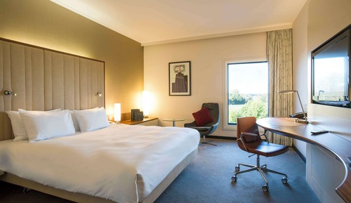 Room, 1 King Bed