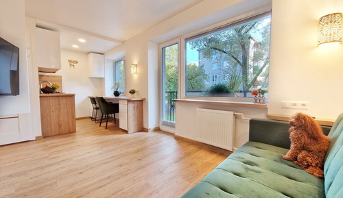 Studio with Balcony - Annex