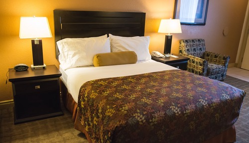 Room, Non Smoking, Refrigerator & Microwave