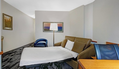 Studio, 1 King Bed with Sofa bed
