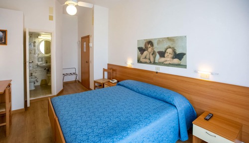Standard Double Room Single Use, 1 Double Bed