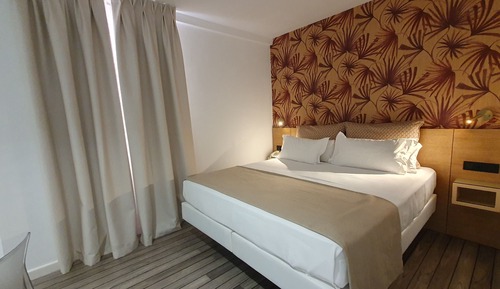Premium Double Room