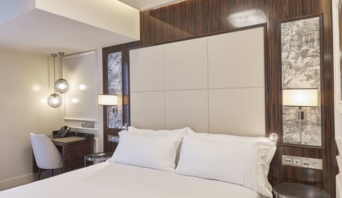 Double Room, 1 King Bed, Accessible