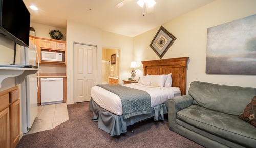 Deluxe Studio Suite, 1 Queen Bed, Refrigerator