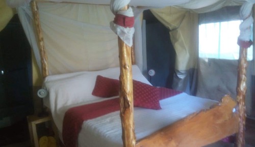 Tent