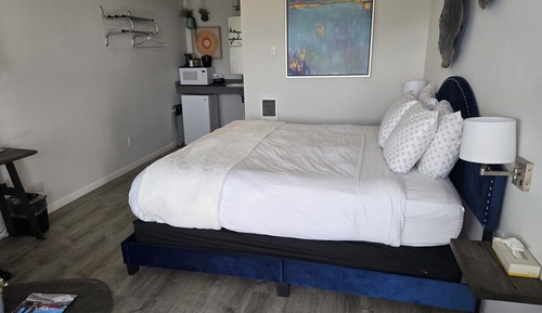 Room, 1 King Bed