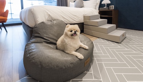 Deluxe Double Room (Pet Friendly)