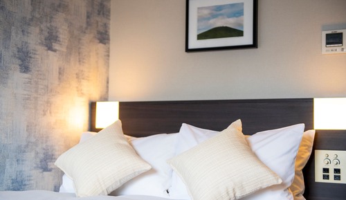 Standard Single Room, Semi-Double Bed