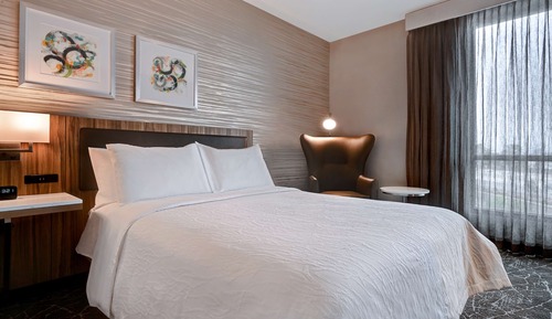 Room, 1 King Bed, Accessible (Roll In Shower)