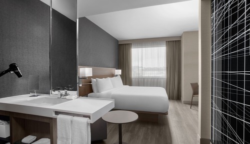 Room, 1 King Bed