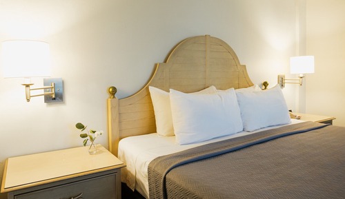 Basic Single Room