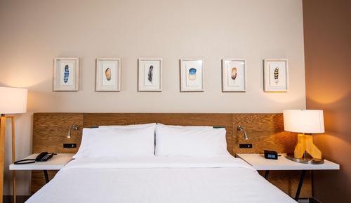 Room, 1 King Bed