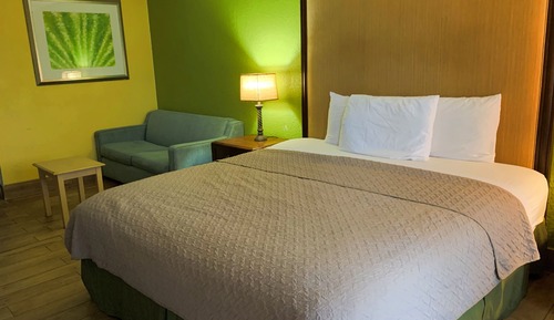 Basic Room, 1 King Bed