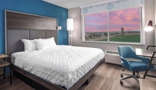 Room, 1 King Bed