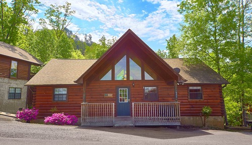 Studio (1 Bedroom)