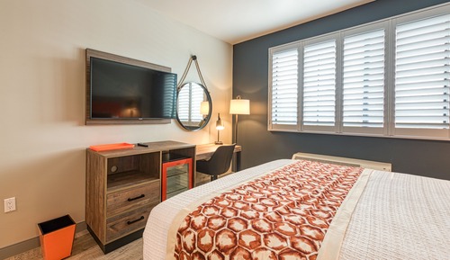 Classic Single Room, 1 King Bed, Non Smoking, Bathtub