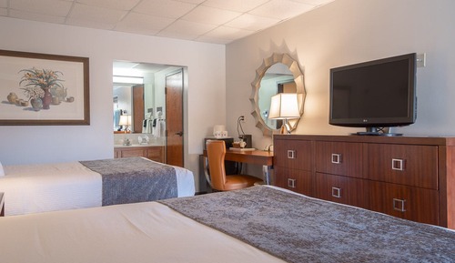 Double Room, 2 Queen Beds, Terrace, Mountain View