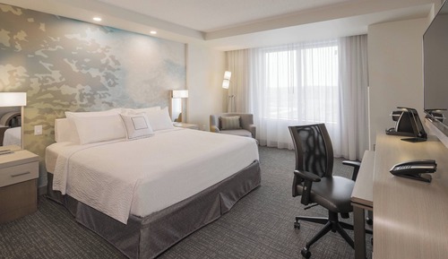 Room, 1 King Bed