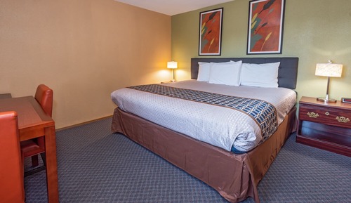 Single Room, 1 King Bed, Refrigerator & Microwave