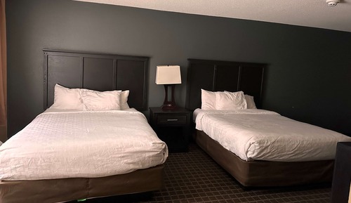 Suite, 2 Queen Beds, Non Smoking (Efficiency)