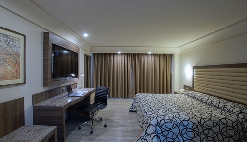 Deluxe Double Room, 1 King Bed, Non Smoking