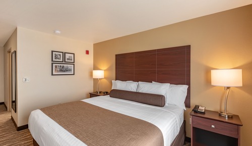 Room, 1 King Bed, Audible/Visual Adapted, Non Smoking