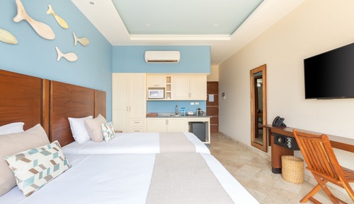 Deluxe Twin Room, Multiple Beds, Accessible, City View