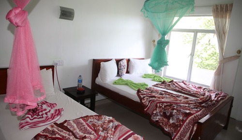 Triple Room, Mountain View
