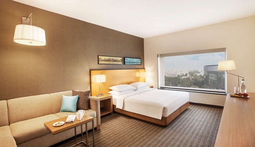 Room, 1 King Bed