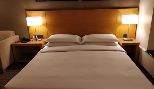 Room, 1 King Bed with Sofa bed
