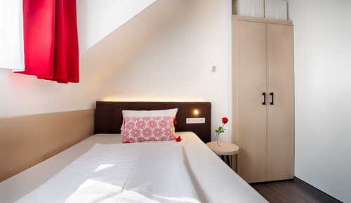 Single Room, 1 Queen Bed