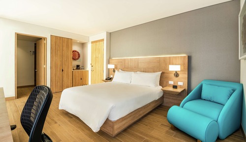 Room, 1 King Bed, Accessible (Roll-In Shower)
