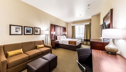 Suite, 1 King Bed with Sofa bed, Non Smoking