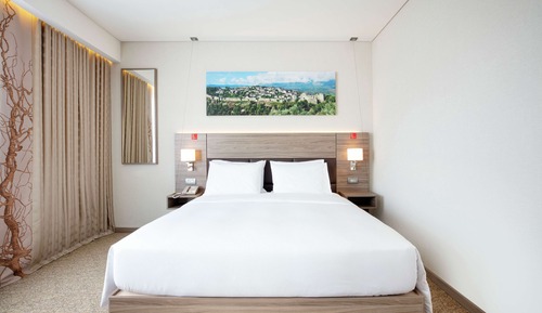Room, 1 King Bed, Accessible