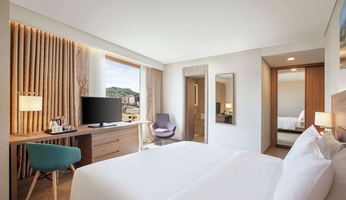 Room, 1 King Bed